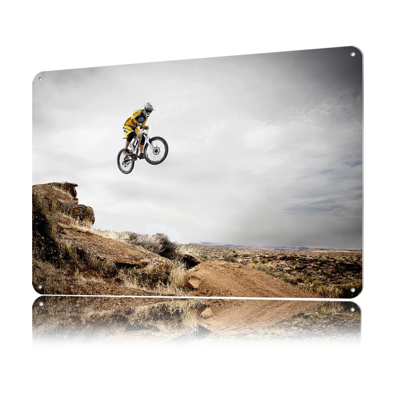 Mountain Bike Lightly 3D Tin P - Mountain Biking Europe 评论和价格